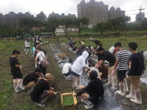 各組就定位開始進行蔬菜種植體驗