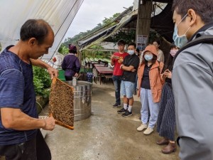 老闆解說蜜蜂生態